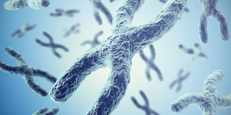 Chromosomes on blue background, scientific concept 3d illustration